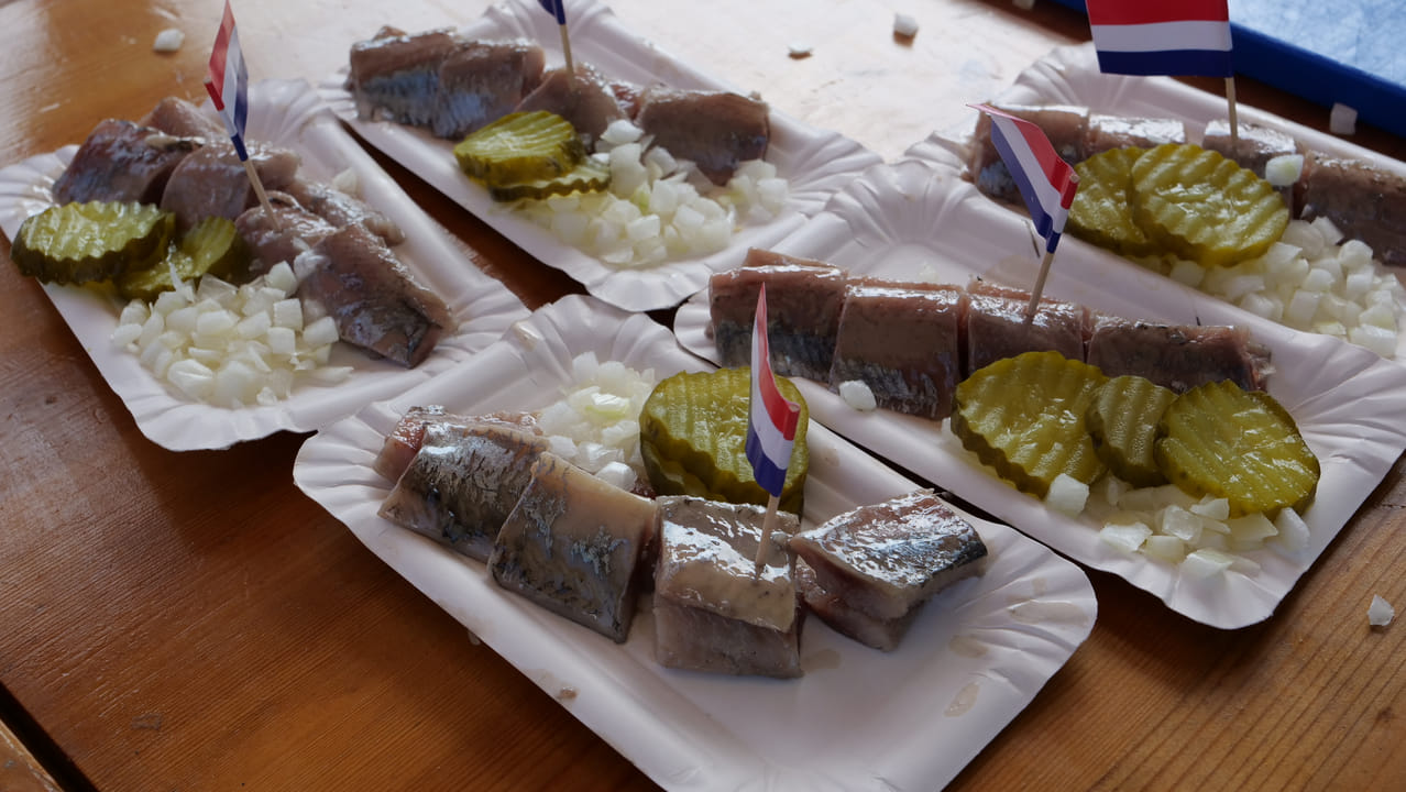 Zonnige OVSV Haringparty brengt ondernemers samen langs de Vecht